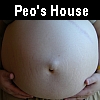 Peo's House