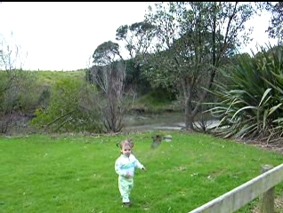 Peo chasing a small bird.