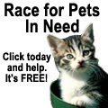 Race For Pets In Need