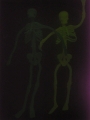 Bendy Skeletons - Glowing