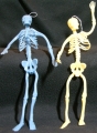 Bendy Skeletons