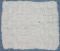 Dishcloth 9 - Textured