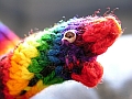 Rainbow Worm - Head Detail 1