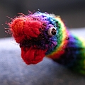 Rainbow Worm - Head Detail 2