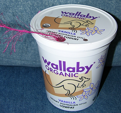 Photo of a yogurt tub with two holes punched in the lid and eyelash yarn coming out of one of the holes.